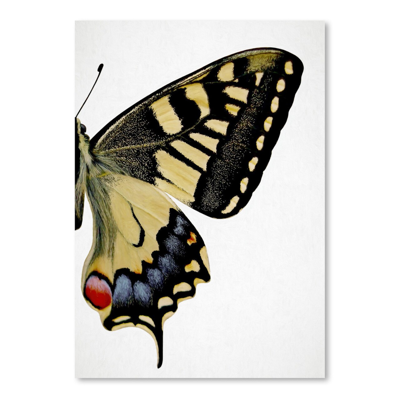 Swallowtail Ii by Chaos &#x26; Wonder Design  Poster Art Print - Americanflat
